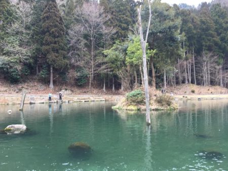 朽木渓流魚センタールアーフィールド